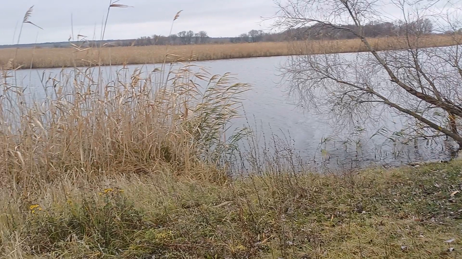 ������� 18 ����� �� ������ ���� ������ ���� ����������� �-�. ���� 1