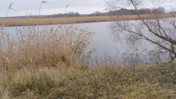 ������� 18 ����� �� ������ ���� ������ ���� ����������� �-�. ���� 8