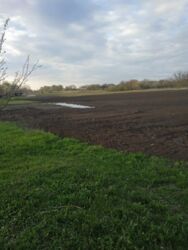 ������ ������� 0,29 ��, �������� �� �����, ��� ������������� ������ ����. ���� 1