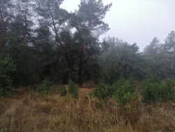 ������� 48 ����� � ���������. ������� ��� � ������ ���� 3