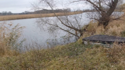 ������� 18 ����� �� ������ ���� ������ ���� ����������� �-�. ���� 7