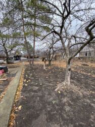 Земельный участок 22 сотки с домом 26 м. кв. в Подгороднем фото 4 Земельный участок 22 сотки с домом 26 м. кв. в Подгороднем фото 4