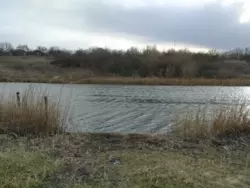 ������ ������ ������� 6 ����� � ������-���������. ���� ����� ���� 1