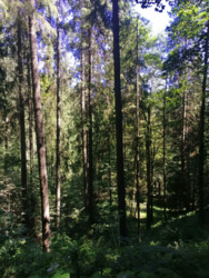 ������� 48 ����� � ���������. ������� ��� � ������ ���� 4