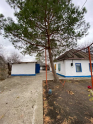 Земельный участок 22 сотки с домом 26 м. кв. в Подгороднем фото 5 Земельный участок 22 сотки с домом 26 м. кв. в Подгороднем фото 5