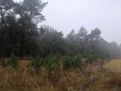 ������� 48 ����� � ���������. ������� ��� � ������ ���� 2