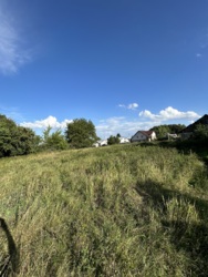 Продається ділянка Тернопільська, Тернопільський, Великі Бірки, Лісна фото 1 Продається ділянка Тернопільська, Тернопільський, Великі Бірки, Лісна фото 1