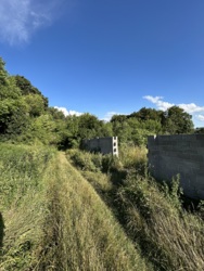 Продається ділянка Тернопільська, Тернопільський, Великі Бірки, Лісна фото 3 Продається ділянка Тернопільська, Тернопільський, Великі Бірки, Лісна фото 3