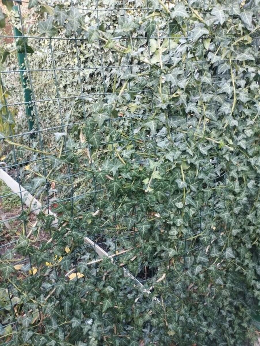 ������ ������� � ����� ���� � �������� ����������. ���� 1