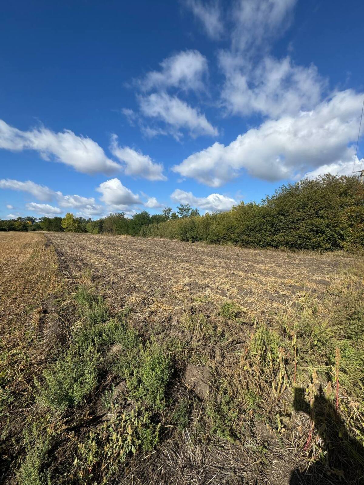 ������ �������� ������ �� ������� �������� � 23 ����� ���� 1