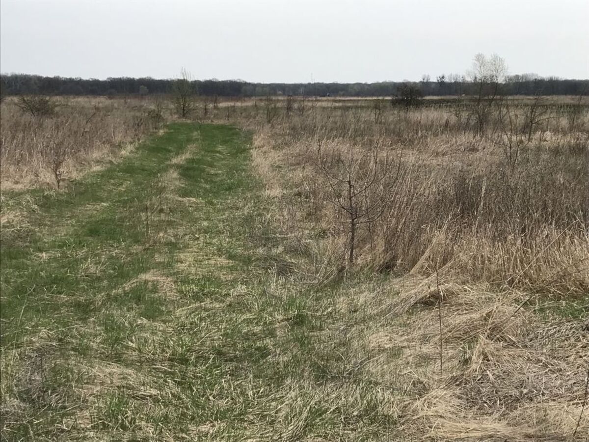 �.�������� ����������� �-�. ���� 1