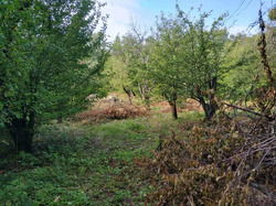 Продається ділянка Полтава, Полтавська, Київський, Яківці фото 4 Продається ділянка Полтава, Полтавська, Київський, Яківці фото 4