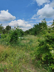 ������ �������� ������ �� ���������� ������� � �.���� ���� 14