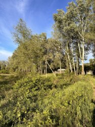 Без Комісії0% Комплекс земельних ділянок на березі Ворскли 15км.від Полтави фото 6 Без Комісії0% Комплекс земельних ділянок на березі Ворскли 15км.від Полтави фото 6