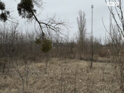 Продається ділянка Полтавська, Полтава, с. Супрунівка, Супрунівка фото 4 Продається ділянка Полтавська, Полтава, с. Супрунівка, Супрунівка фото 4