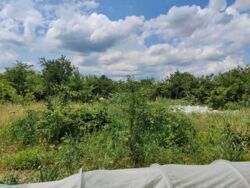 ������ �������� ������ �� ���������� ������� � �.���� ���� 12