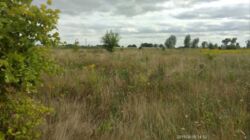 �������� ������ � �. �������. ���� 4