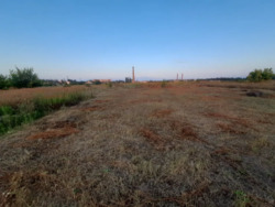 ������ ������ �� ����������. ���� 12