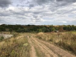 ĳ����� 10 �����, ��� �. �������. ���� 2