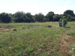 Продається ділянка Полтавська, Полтавський, Жуки, Полтавська вул. 22 фото 4 Продається ділянка Полтавська, Полтавський, Жуки, Полтавська вул. 22 фото 4