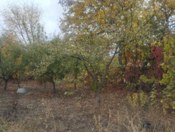 ������ ������� � ����� ���� � �������� ����������. ���� 3