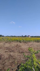 Продається ділянка Полтава, Полтавська, Київський фото 3 Продається ділянка Полтава, Полтавська, Київський фото 3