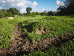 �������� ������ � ������. ���� 4