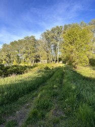 Без Комісії0% Комплекс земельних ділянок на березі Ворскли 15км.від Полтави фото 3 Без Комісії0% Комплекс земельних ділянок на березі Ворскли 15км.від Полтави фото 3