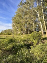 Без Комісії0% Комплекс земельних ділянок на березі Ворскли 15км.від Полтави фото 4 Без Комісії0% Комплекс земельних ділянок на березі Ворскли 15км.від Полтави фото 4