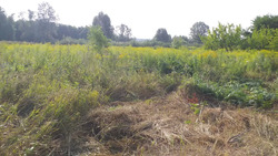 Продається ділянка Полтава, Полтавська, Київський фото 2 Продається ділянка Полтава, Полтавська, Київський фото 2