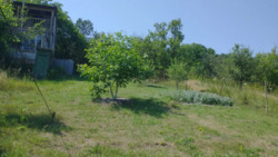 Земельна ділянка Патлаївка фото 2 Земельна ділянка Патлаївка фото 2