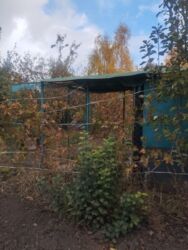 ������ ������� � ����� ���� � �������� ����������. ���� 5