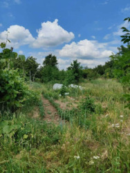 ������ �������� ������ �� ���������� ������� � �.���� ���� 13