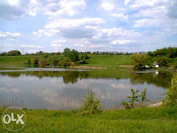 ������� 10 �����, ����� �. ������� - 3 �� �� ������������ �����. ���� 8