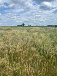 �������� ������ 10 ����� �� �������� � ������� (�� ��� �������). ���� 5