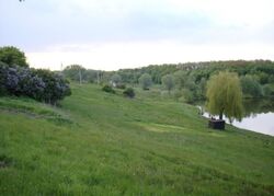 Продається ділянка Полтава, Полтавська, с. Івонченці фото 5 Продається ділянка Полтава, Полтавська, с. Івонченці фото 5