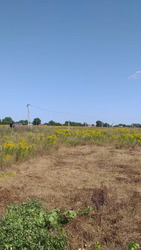 Продається ділянка Полтава, Полтавська, Київський фото 1 Продається ділянка Полтава, Полтавська, Київський фото 1