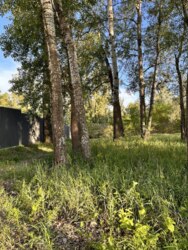 Без Комісії0% Комплекс земельних ділянок на березі Ворскли 15км.від Полтави фото 7 Без Комісії0% Комплекс земельних ділянок на березі Ворскли 15км.від Полтави фото 7