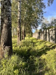 Без Комісії0% Комплекс земельних ділянок на березі Ворскли 15км.від Полтави фото 9 Без Комісії0% Комплекс земельних ділянок на березі Ворскли 15км.від Полтави фото 9