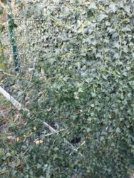 ������ ������� � ����� ���� � �������� ����������. ���� 1