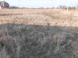 Продається ділянка Полтава, Полтавська фото 3 Продається ділянка Полтава, Полтавська фото 3