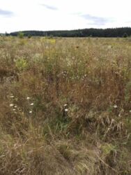 �������� ������ � �. �������. ���� 3