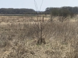 �.�������� ����������� �-�. ���� 3