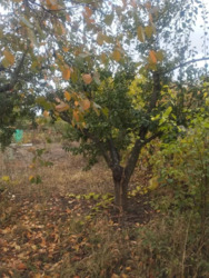 ������ ������� � ����� ���� � �������� ����������. ���� 8