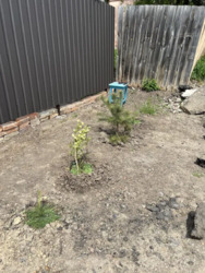 ������ �������� ������. ���� 4