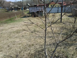 ��������� ������ ���'������ (��������), �����������, ���������� ���� 3