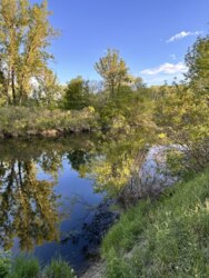 Без Комісії0% Комплекс земельних ділянок на березі Ворскли 15км.від Полтави фото 1 Без Комісії0% Комплекс земельних ділянок на березі Ворскли 15км.від Полтави фото 1