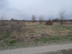 �������� ������. ���� 3