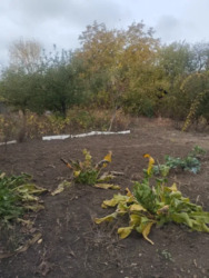 ������ ������� � ����� ���� � �������� ����������. ���� 6