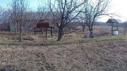 ��������� ������ �������, ����������, �. �����, �. ����� ���� 6